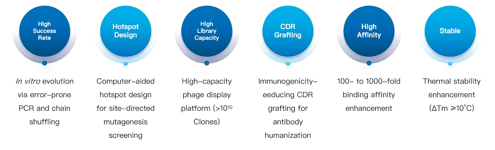 64-KMDBioscience-antibody-affinity-maturation-services.jpg