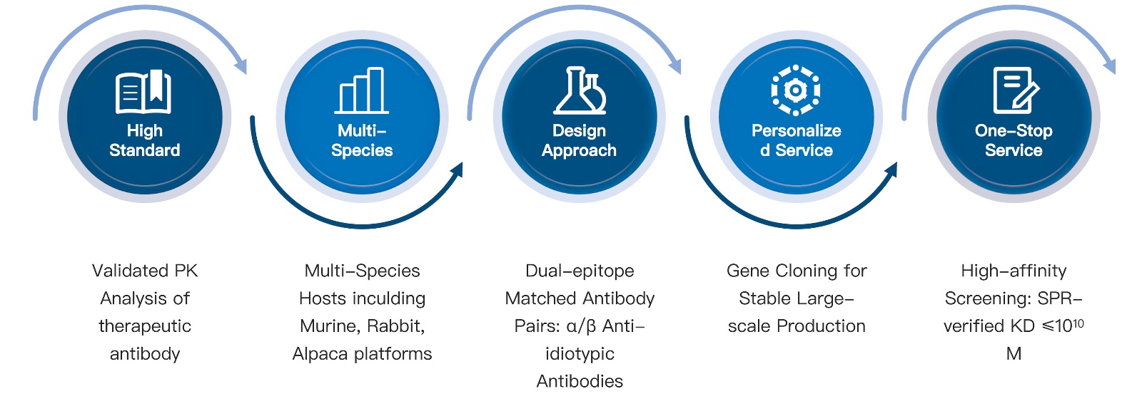 62-KMDBioscience-anti-idiotypic-antibody-development-services.jpg