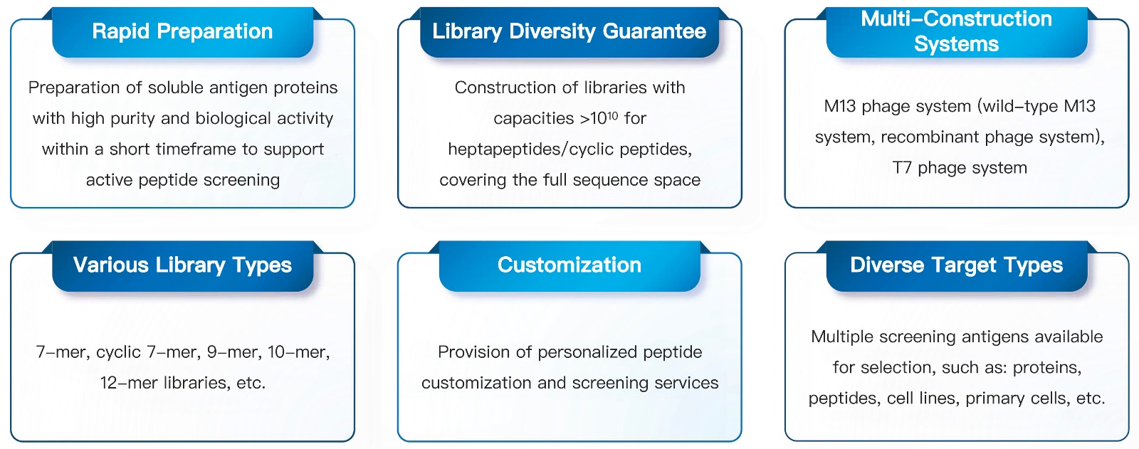 71-KMDBioscience-12peptide-library-construction-and-screening.jpg