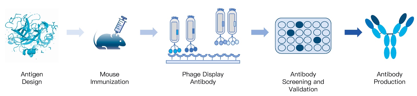 57-KMDBioscience-monoclonal-antibody-development-services.jpg