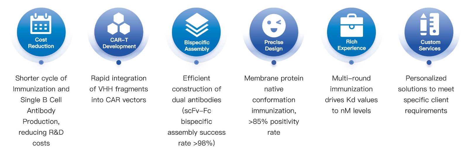 17-KMDBioscience-rabbit-singleB-cell-mab-preparation-service.jpg