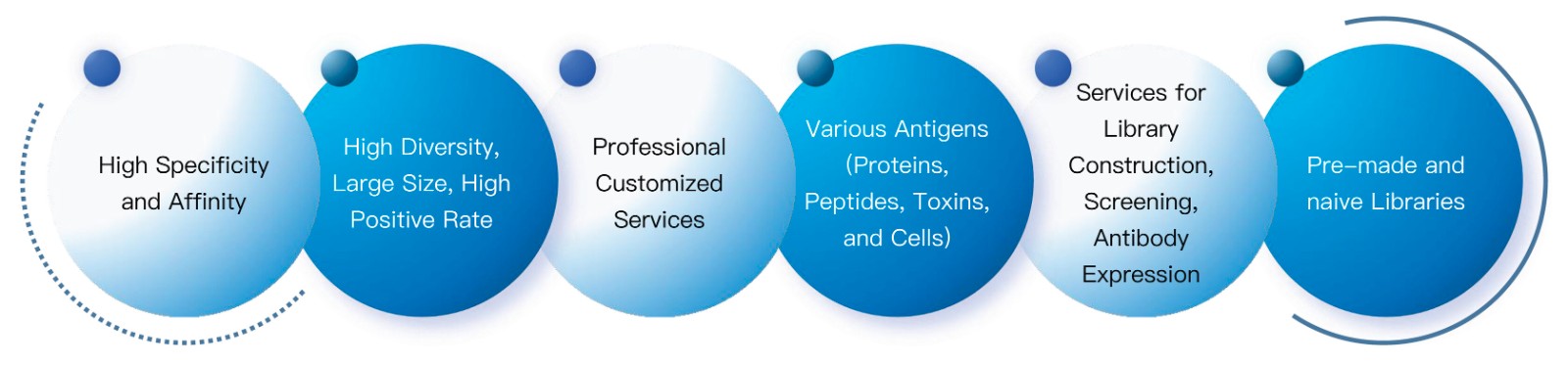 89-KMDBioscience-phage-display-library-screening-service-Fab-screening.jpg