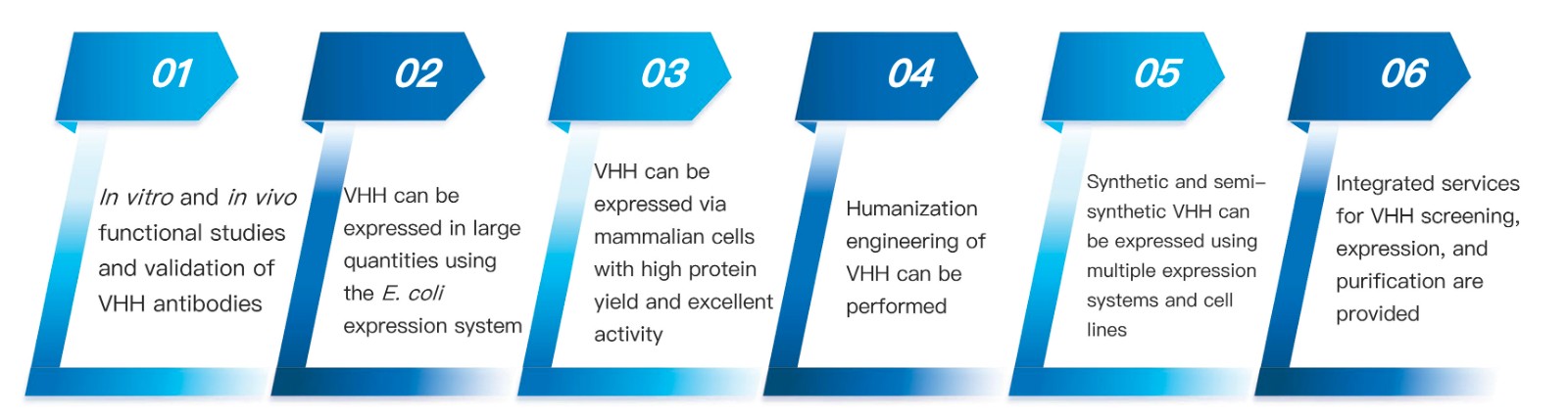 93-KMDBioscience-recombinant-antibody-development-service-VHH.jpg