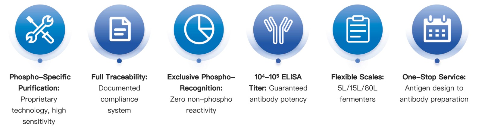 39-KMDBioscience-recombinant-antibody-development-service-phospho.jpg