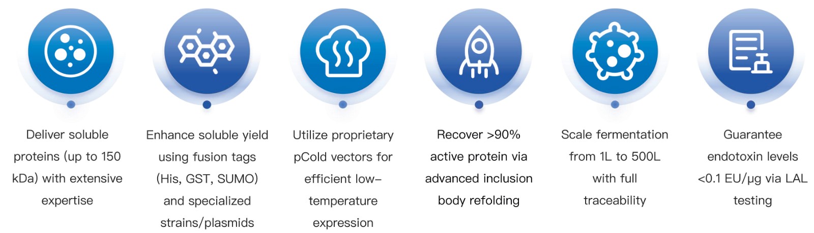 4-KMDBioscience-Recombinant-Protein-Prokaryotic-Expression-Service.jpg