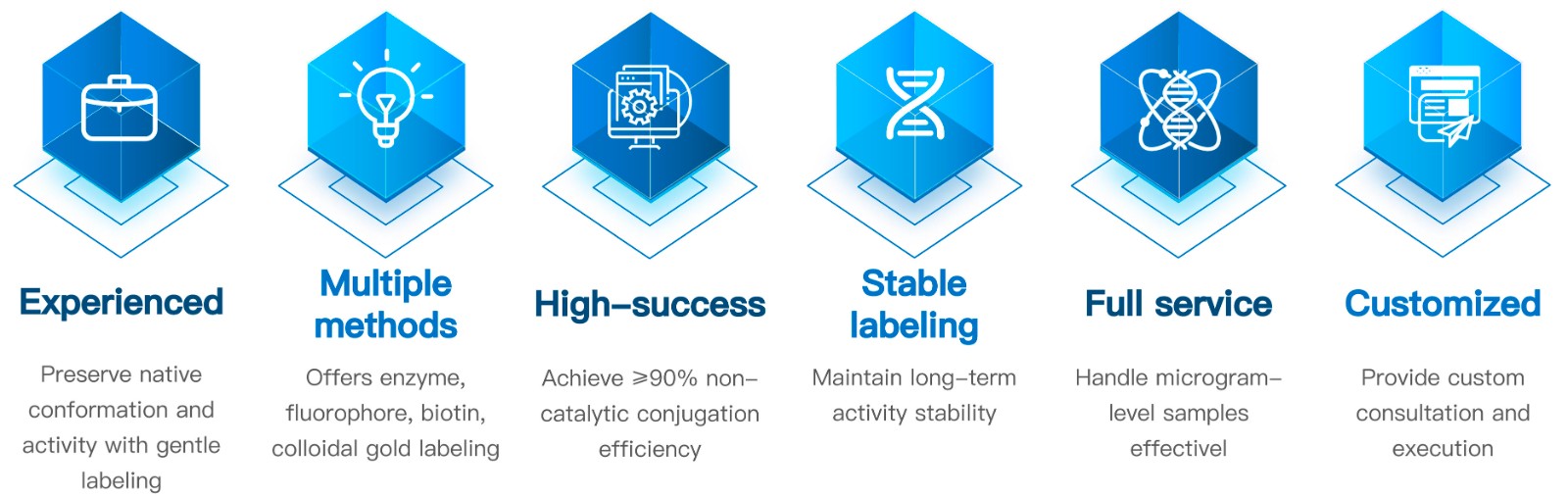 17-KMDBioscience-Protein-Labeling-Services.jpg