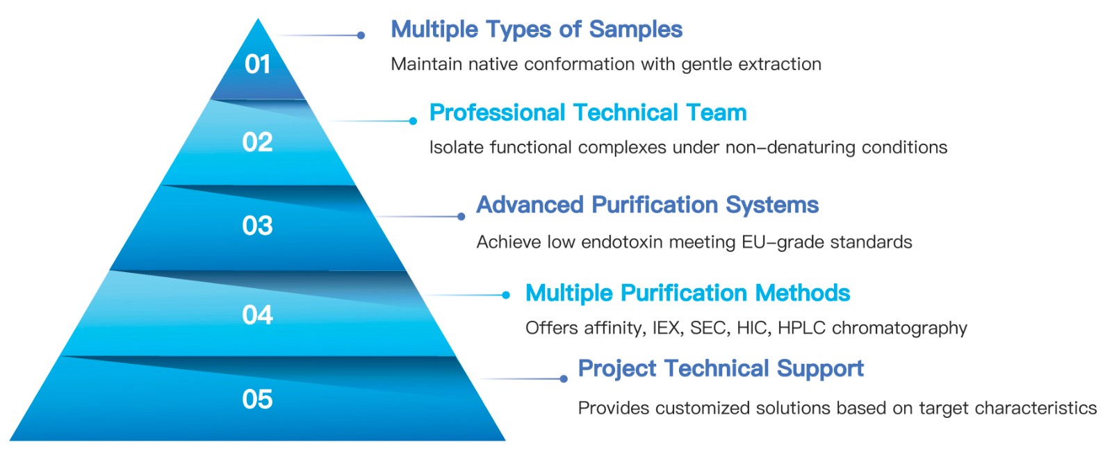 14-KMDBioscience-Natural-Protein-Purification-Services.jpg