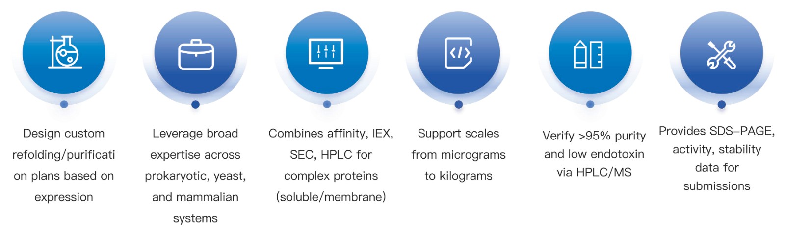 12-KMDBioscience-Recombinant-Protein-Purification-Services.jpg