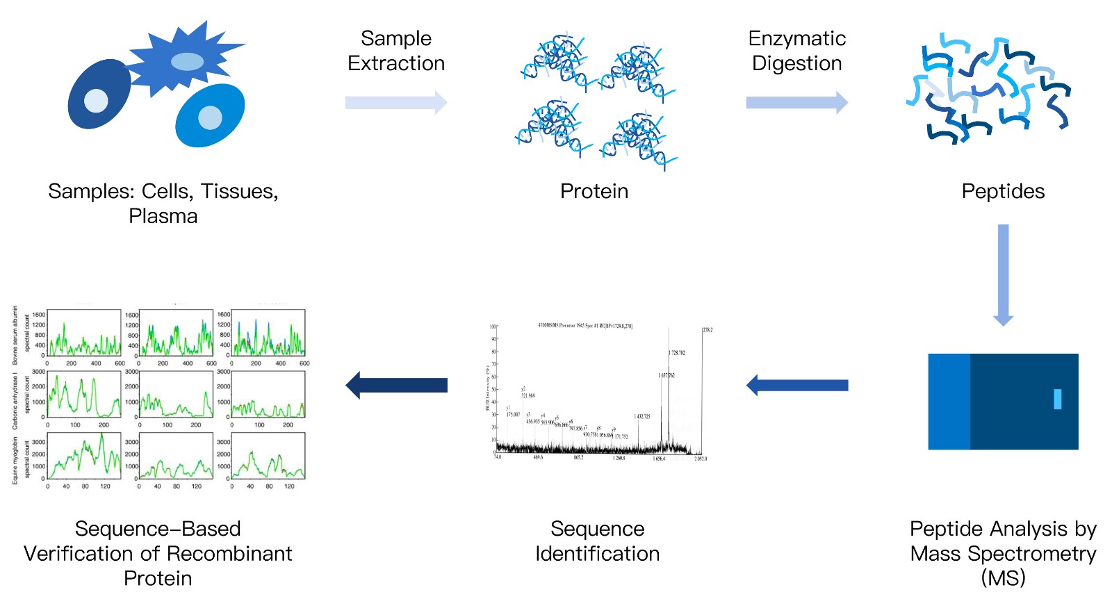 8-KMDBioscience-Protein-DeNovo-Sequencing-Service.jpg