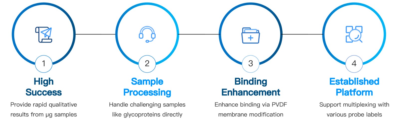 24-KMDBioscience-Dot-Blotting-Service.jpg