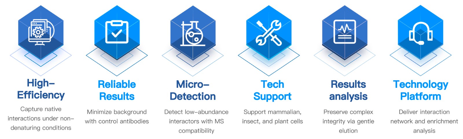 20-KMDBioscience-Co-Immunoprecipitation-Experiments.jpg
