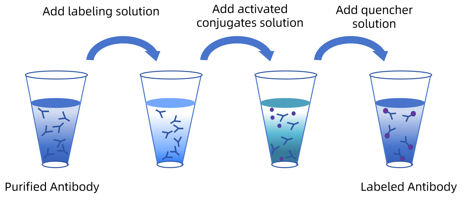 图片12.png