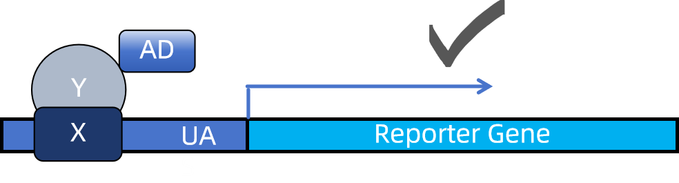 图片19.png