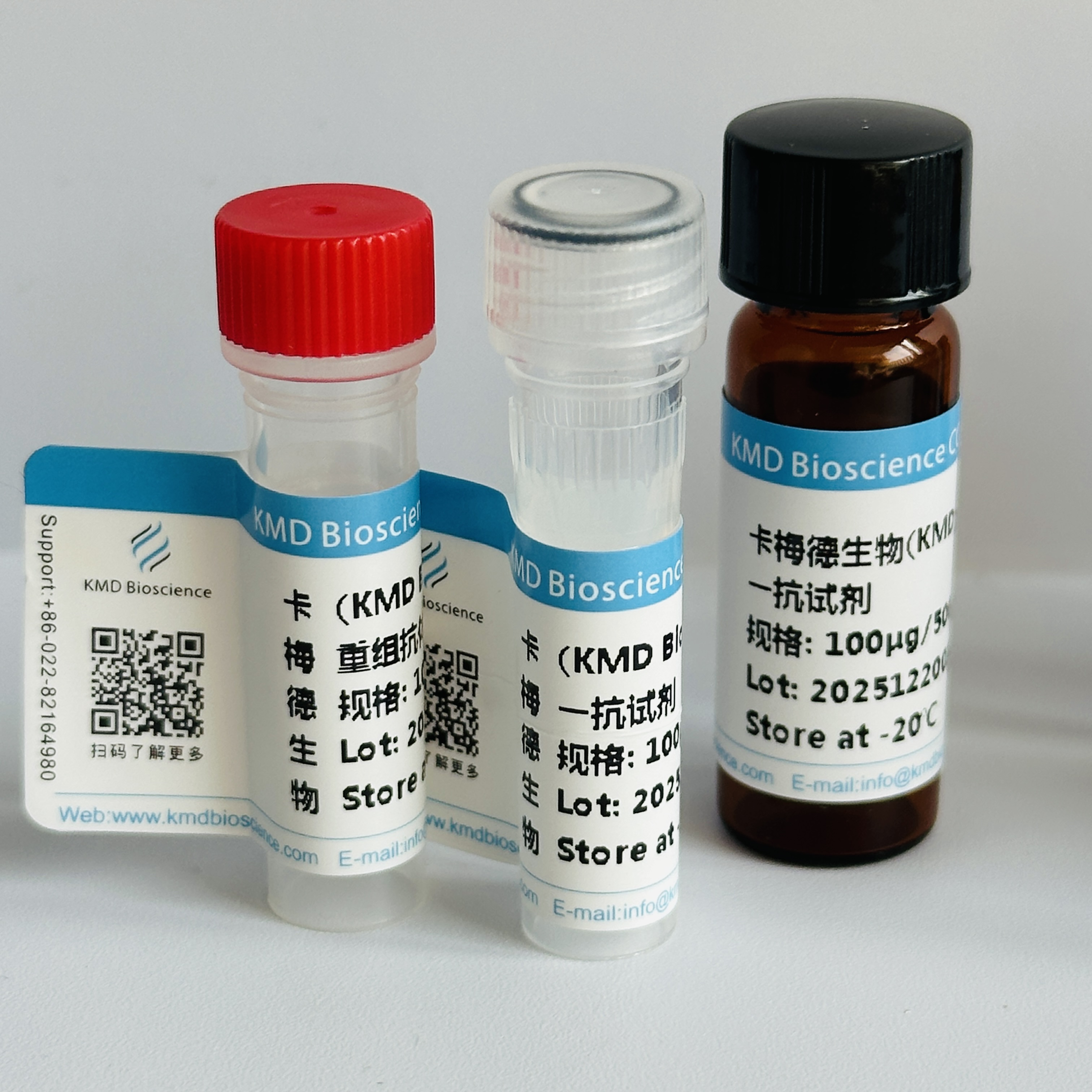 Monoclonal Mouse Anti HA-Tag（Primary Antibody）