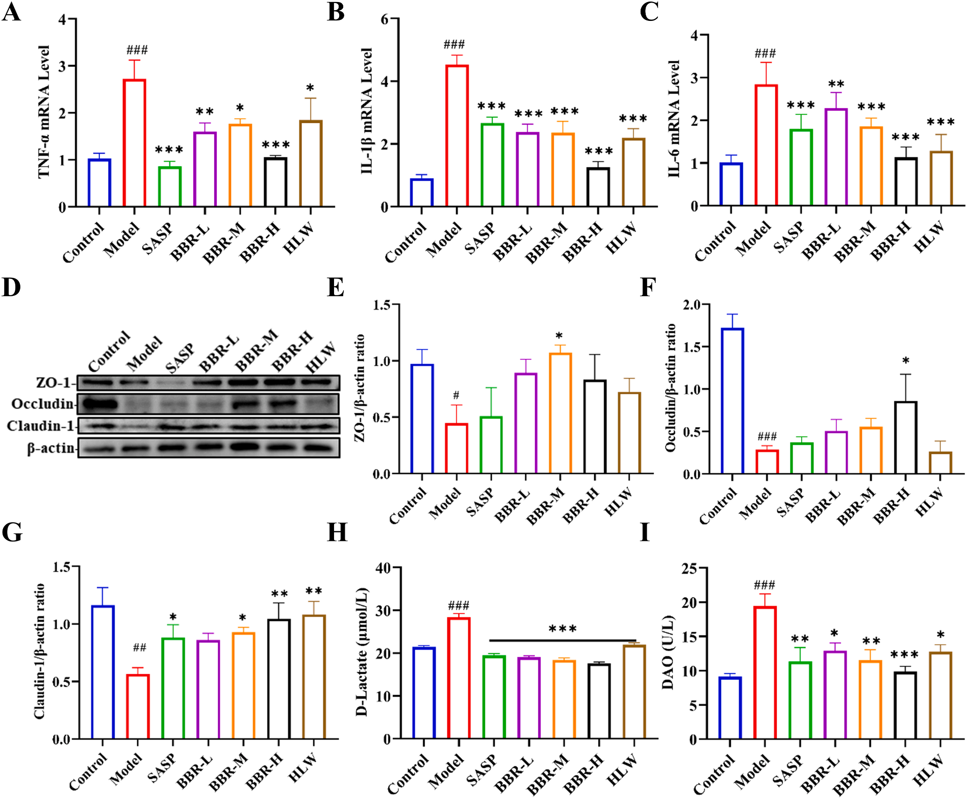 Figure 3 . Impact of BBR and Coptis chinensis Franch.png