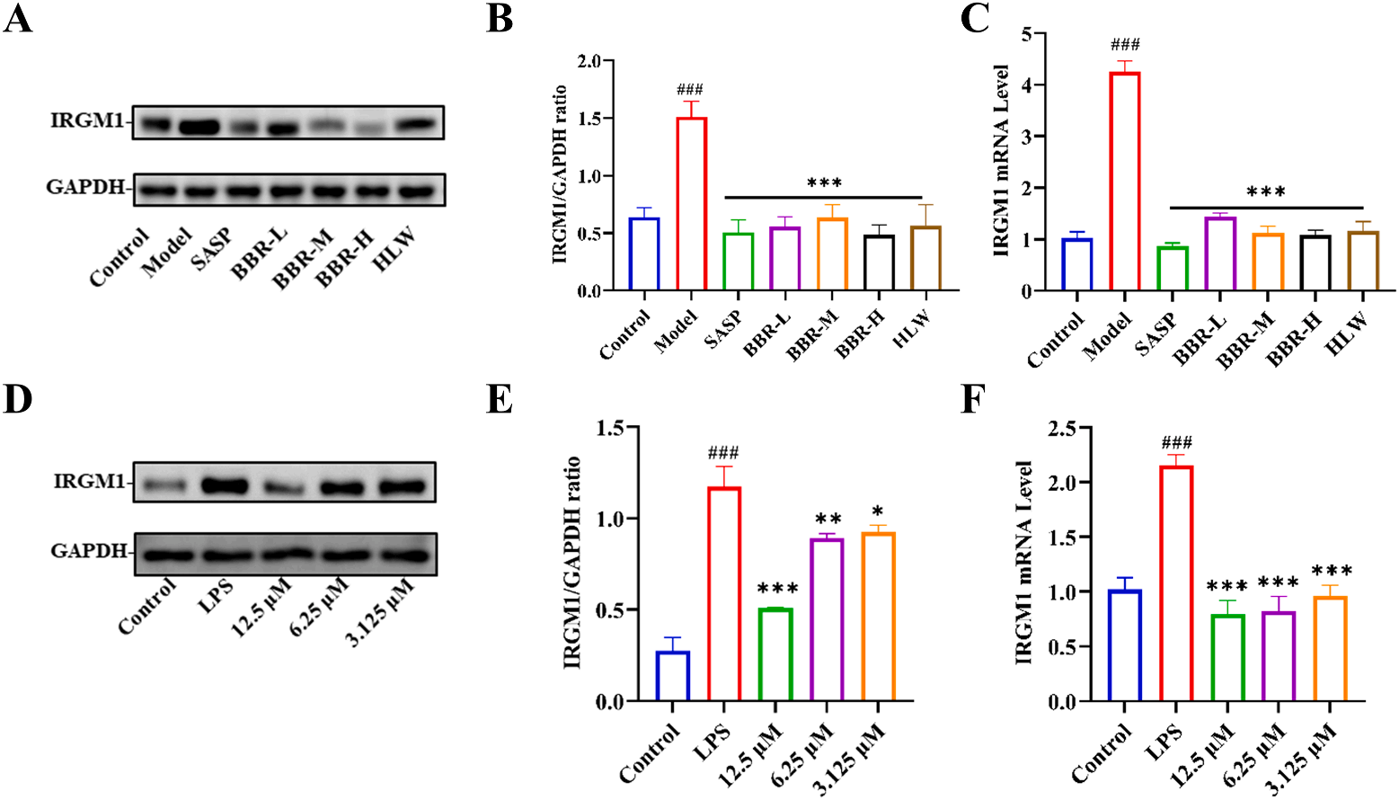 Figure 7 BBR’s effect on IRGM1 expression in various models.png