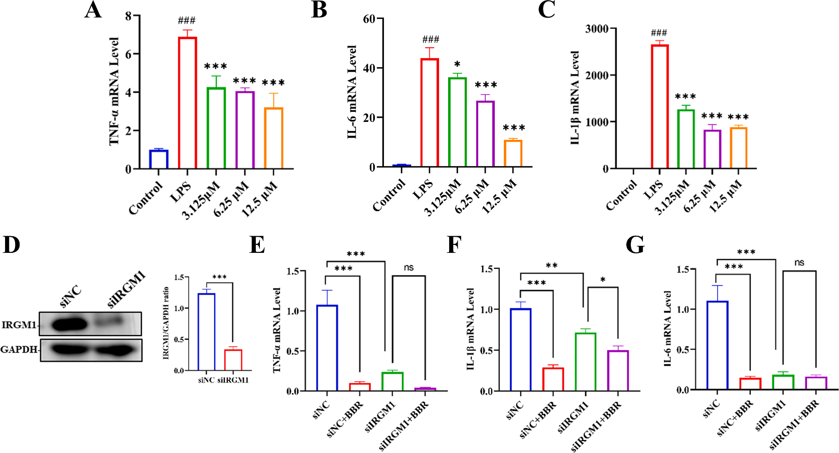 Figure 8 BBR’s effect on inflammatory cytokine expression.png