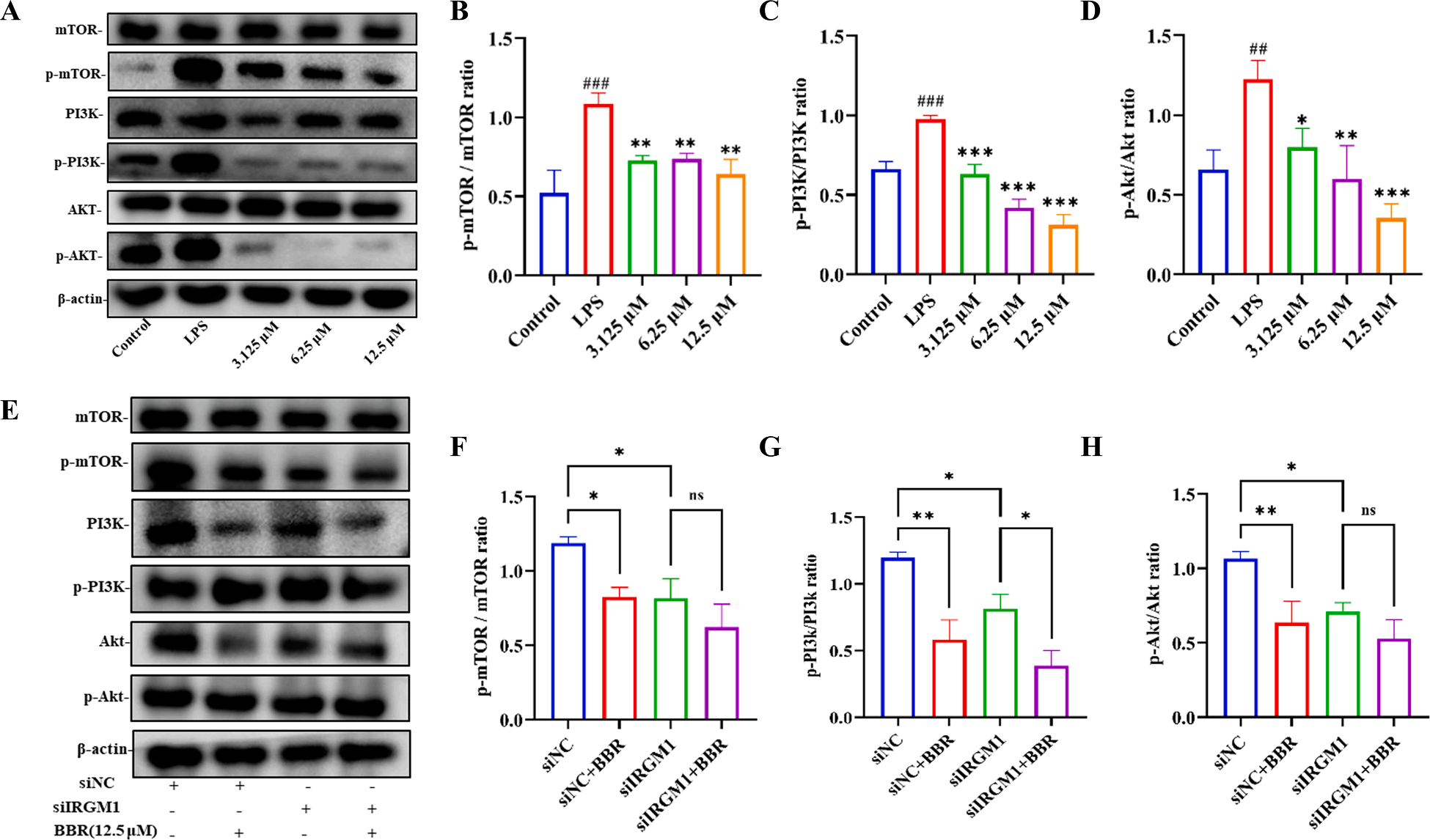 Figure 9 BBR’s effect on protein expression in RAW264.7 cell inflammatory models induced by LPS.png