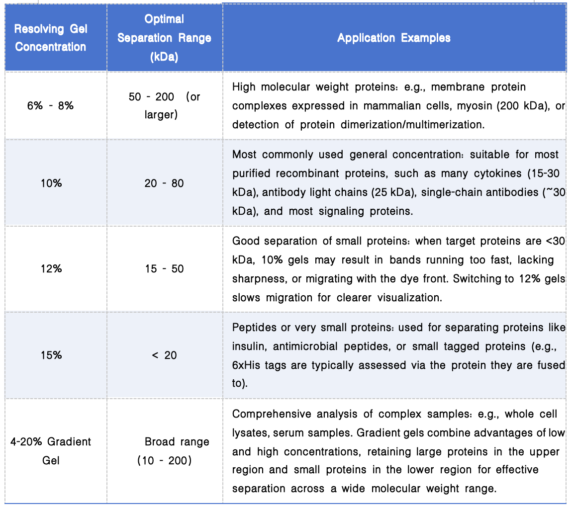 Selection of Resolving Gel Concentration.png