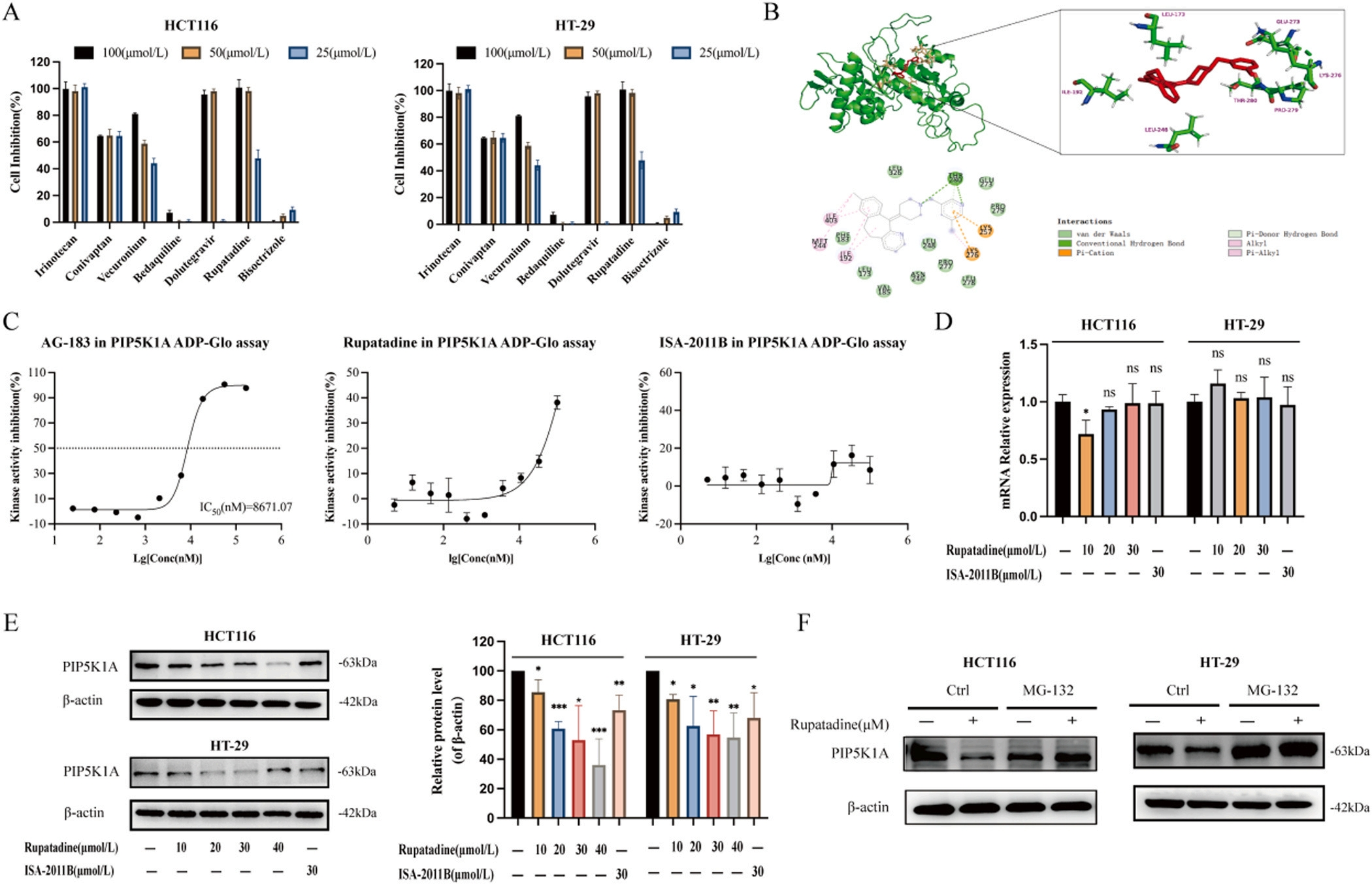 Figure 3-Screening of PIP5K1A kinase inhibitors.png