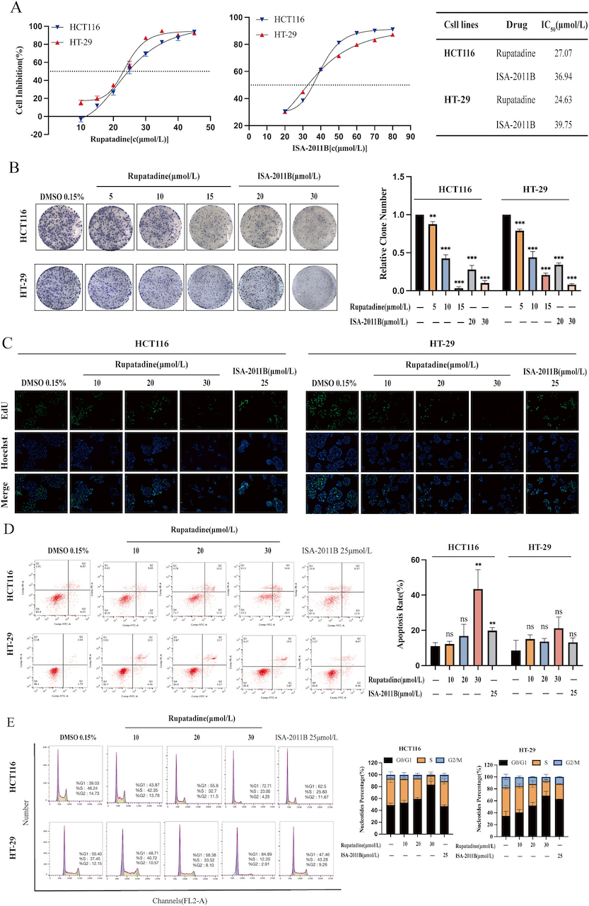 Figure 4-In vitro inhibition of colorectal cancer cell proliferation by rupatadine.png