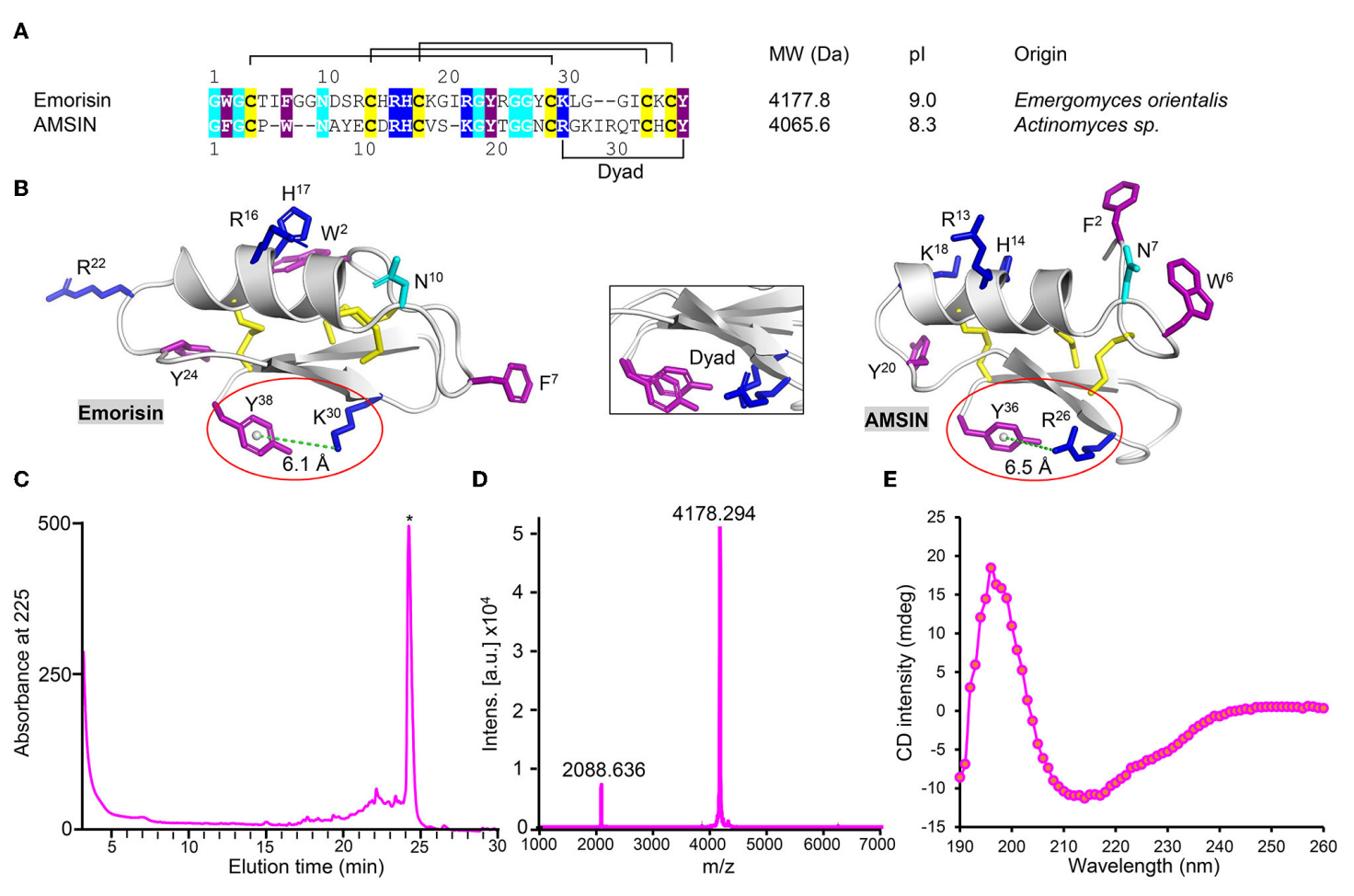 Fig1. Identification and structural characteristics of emorisin.png