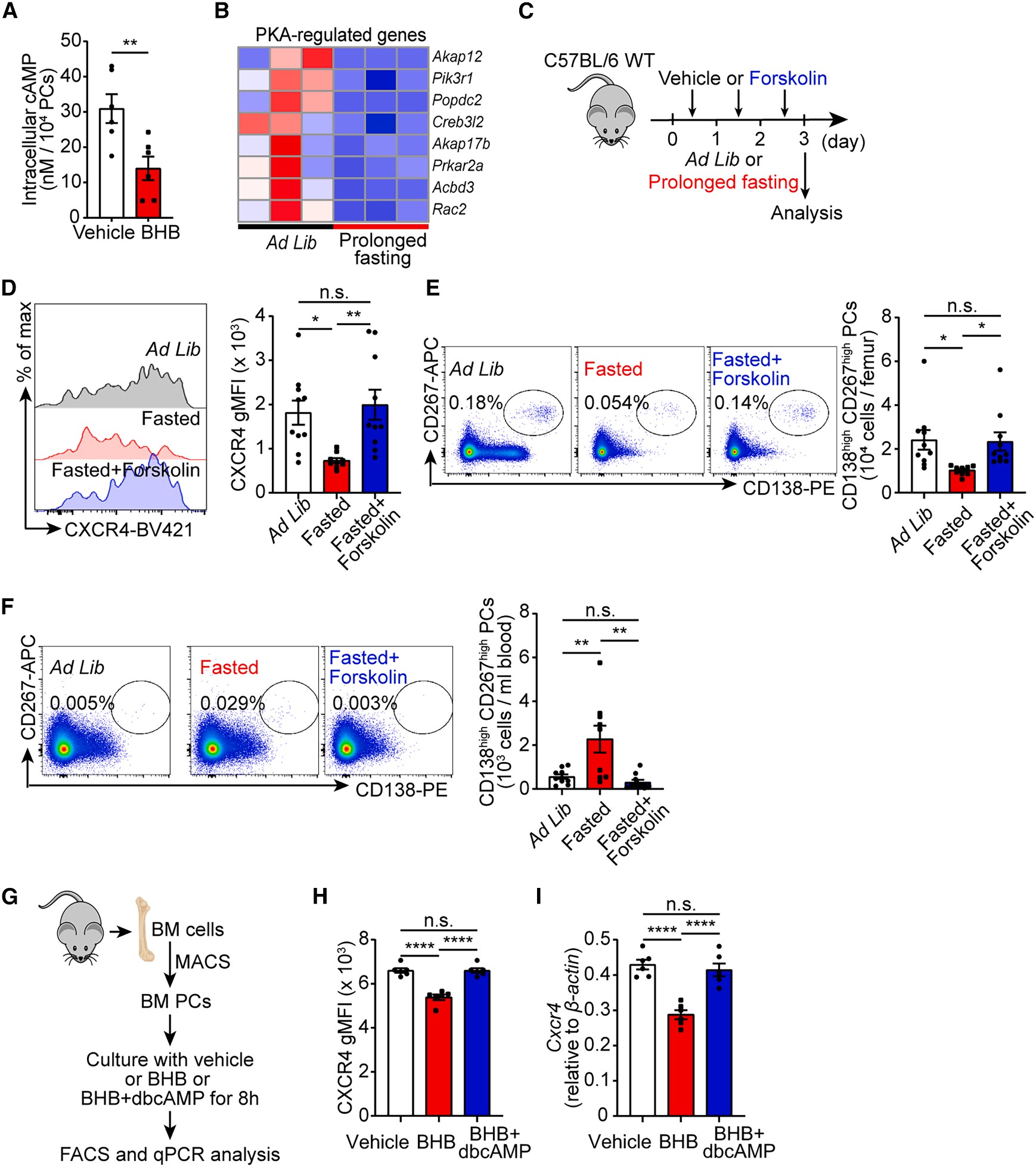 Fig. 7 The HCAR2-Gαi-AC-cAMP axis mediates the downregulation of CXCR4 on PCs.jpg