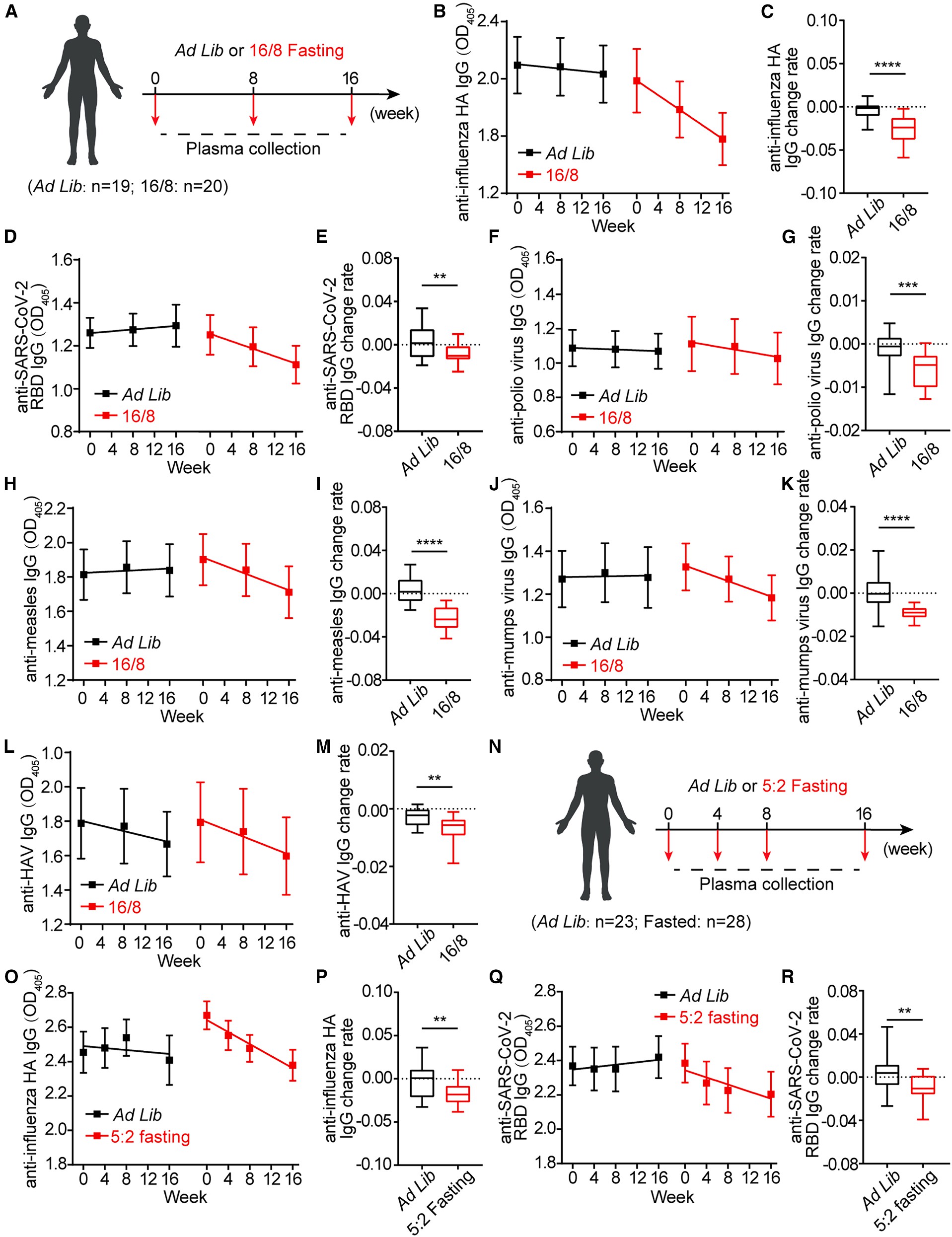 Fig. 8 Fasting accelerates the decay of vaccine- and infection-induced antibodies in humans.jpg