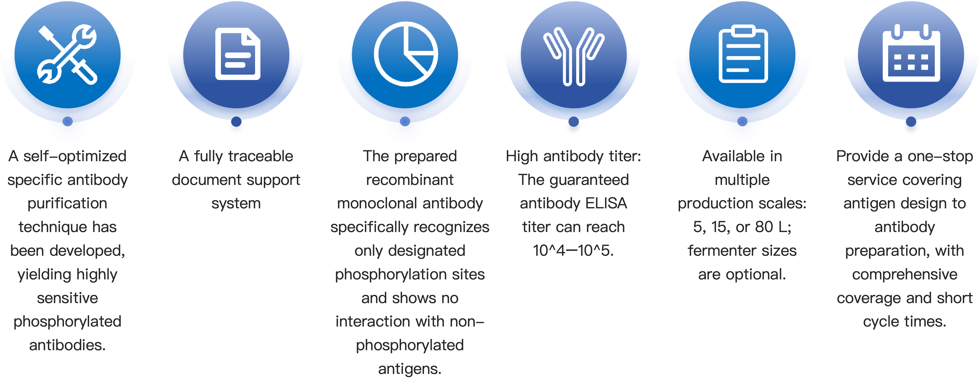 Advantages of Phosphorylated Antibody Preparation Services-EN.png
