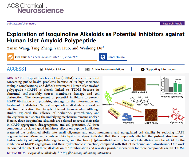Exploration of Isoquinoline Alkaloids KMD Bioscience-1.png