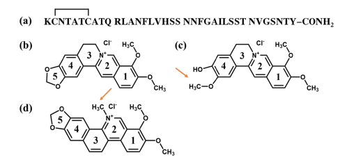Figure 1. Differences among the three isoquinoline alkaloids..png