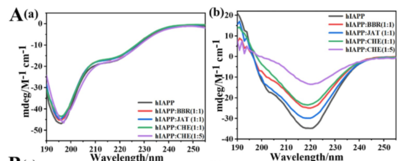 Figure 6A. Alkaloid-induced conformational changes of hIAPP..png