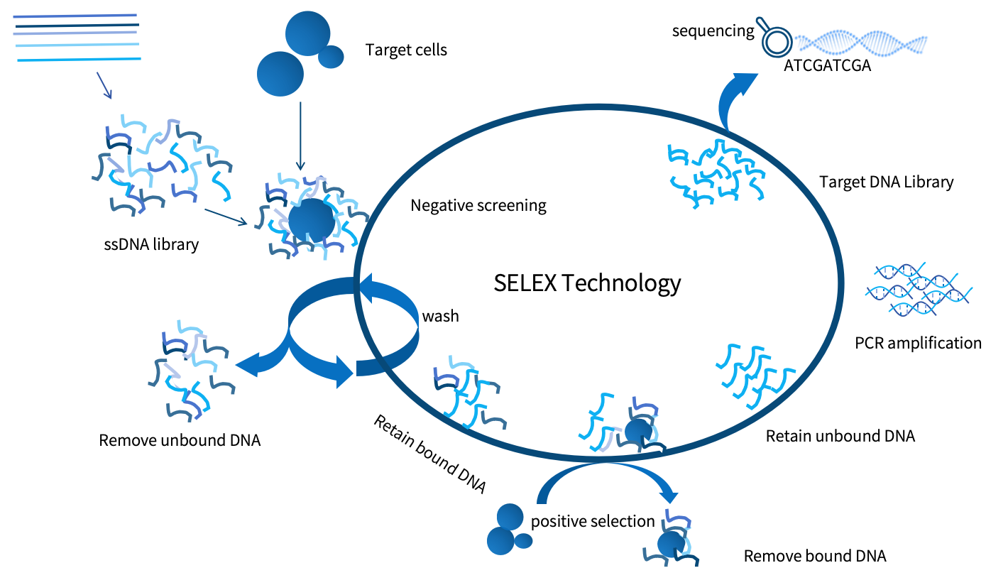 SELEX Technology .png