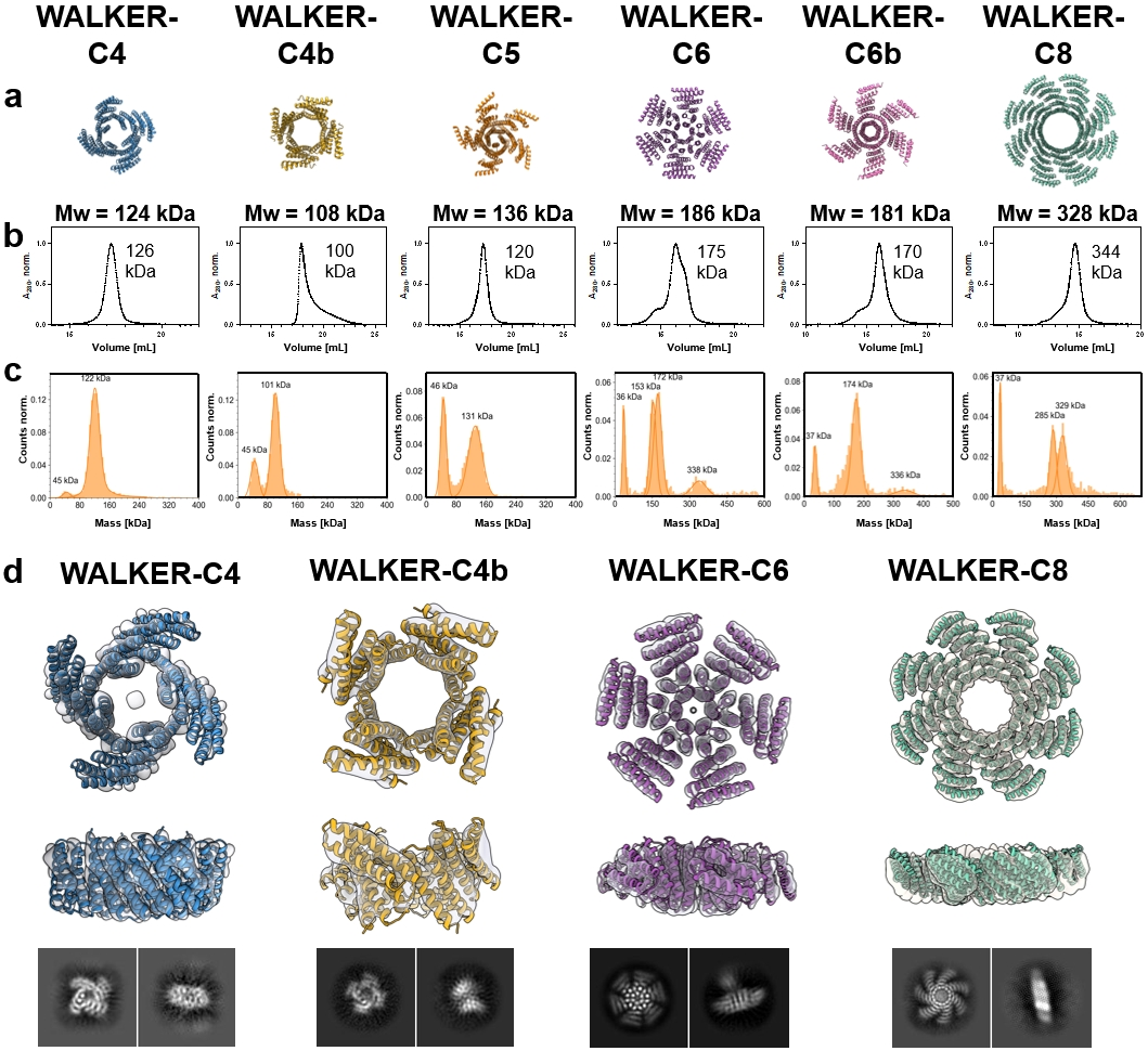 Figure 3. Biophysical characterization and structural validation of designed walker oligomers.png
