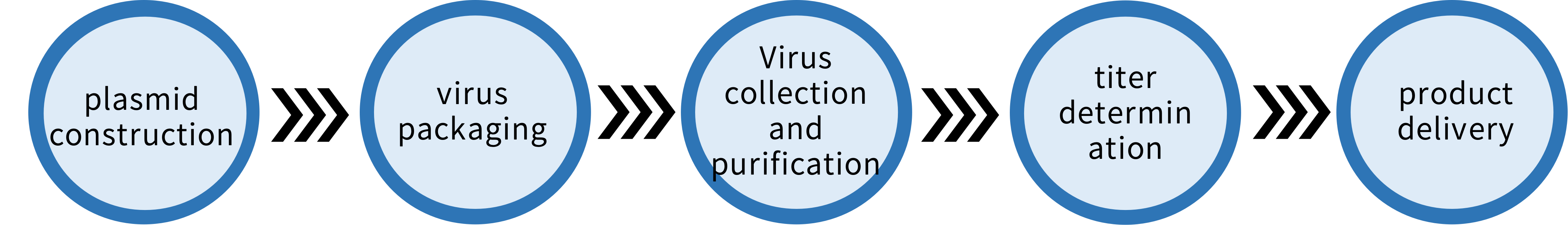 AAV Adeno-Associated Virus & Adenovirus Packaging Services process.png