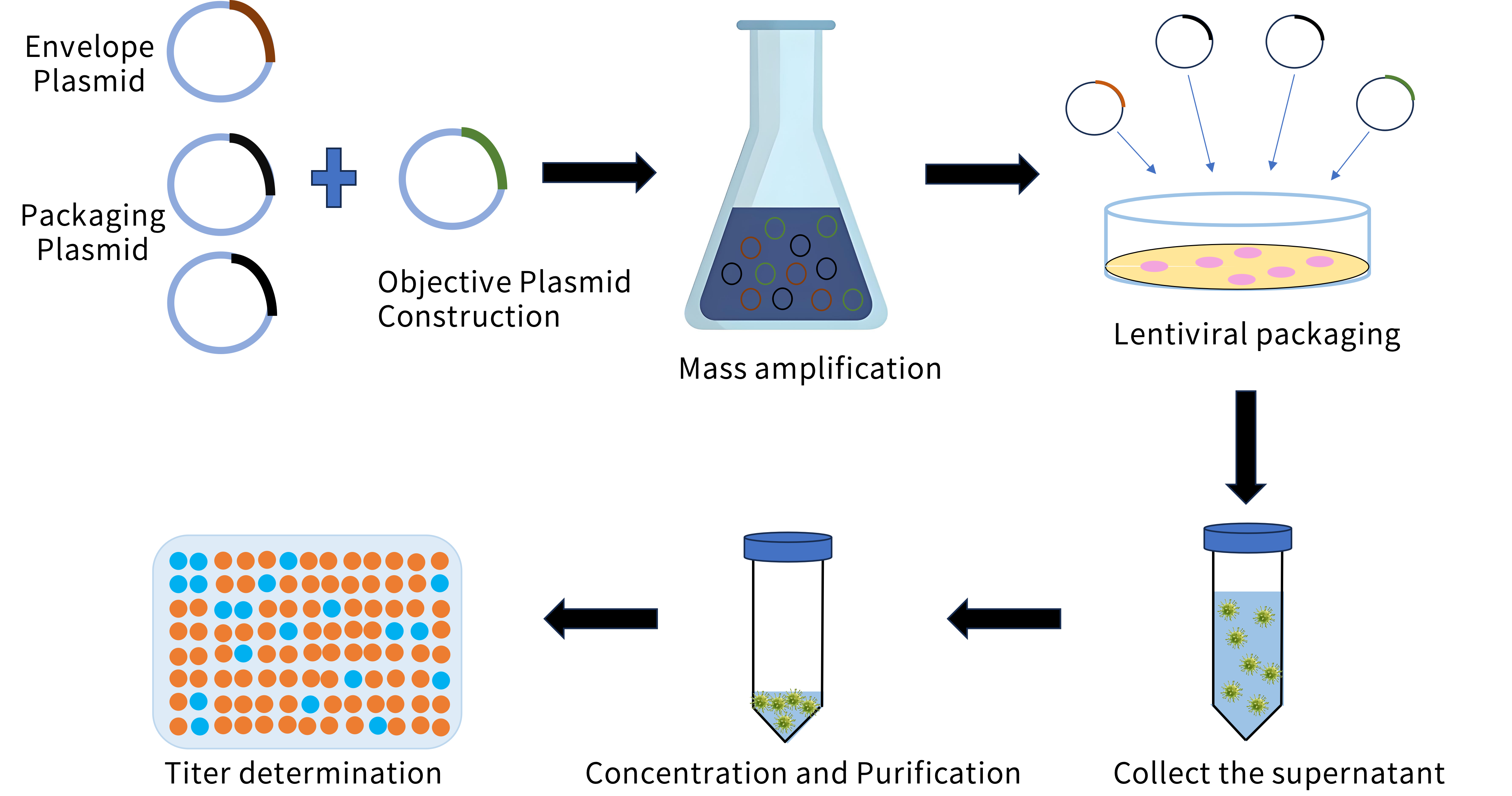 Lentiviral packaging service process.png