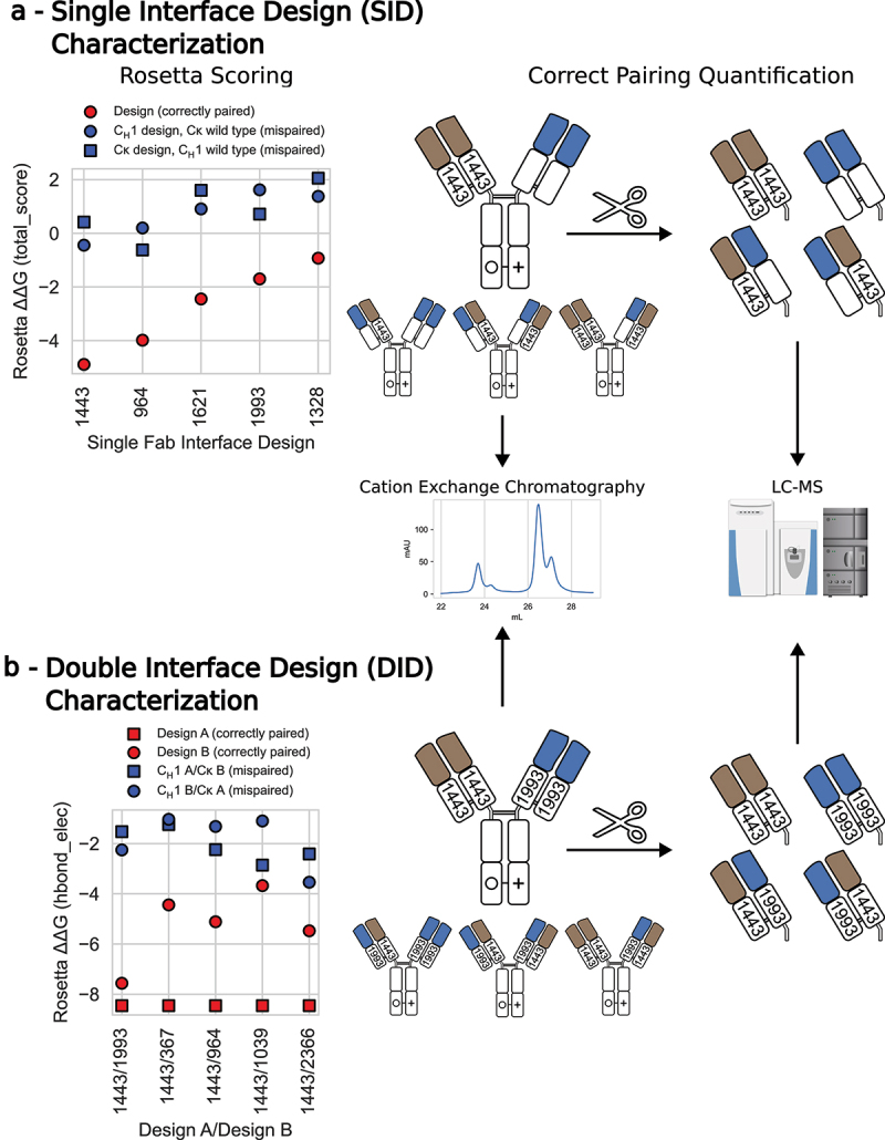 Figure 2 Characterisation of a single interface design via computer simulation.png