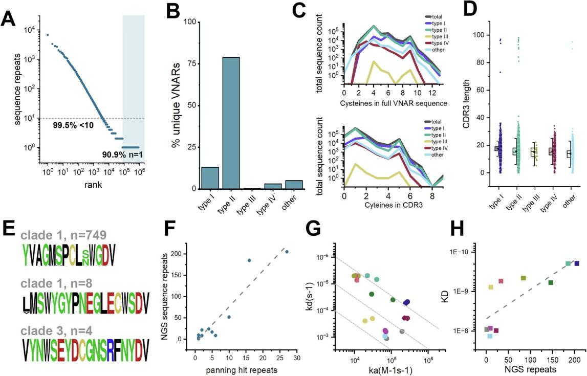 Figure 4 Scatter Plot Showing the Correlation Between NGS Sequence Repeat Counts and Affinity.png