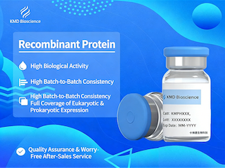 Recombinant Human IL-6 Protein